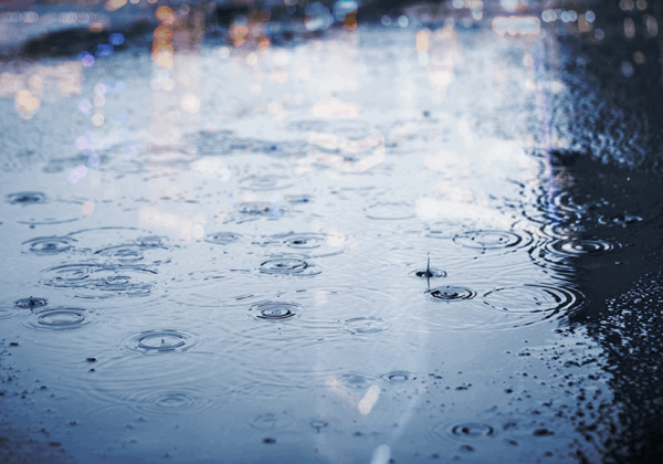 雨の日