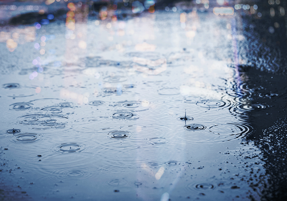 雨の日
